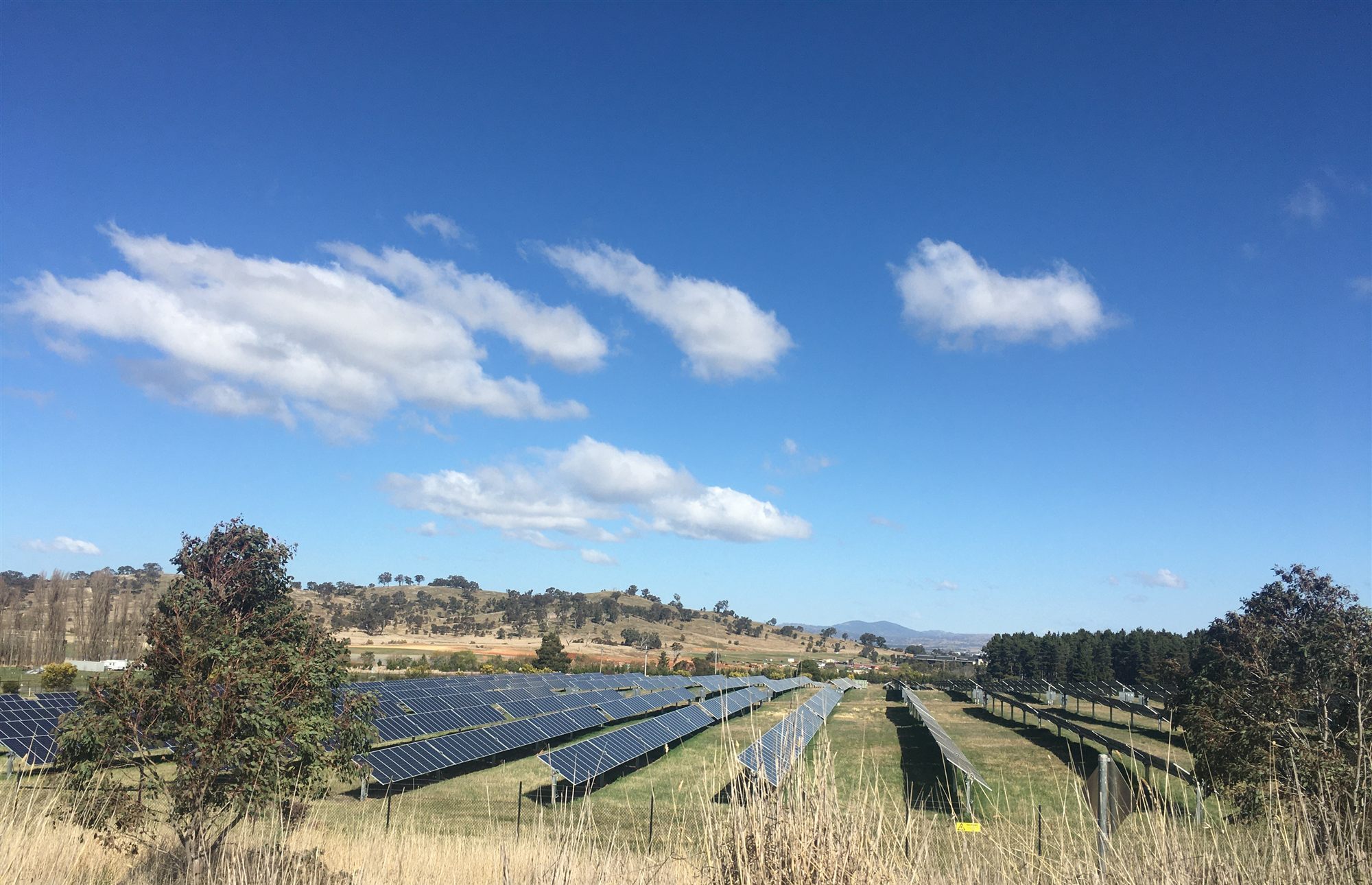 Parc solar fotovoltaic en un dia assolellat amb cel blau